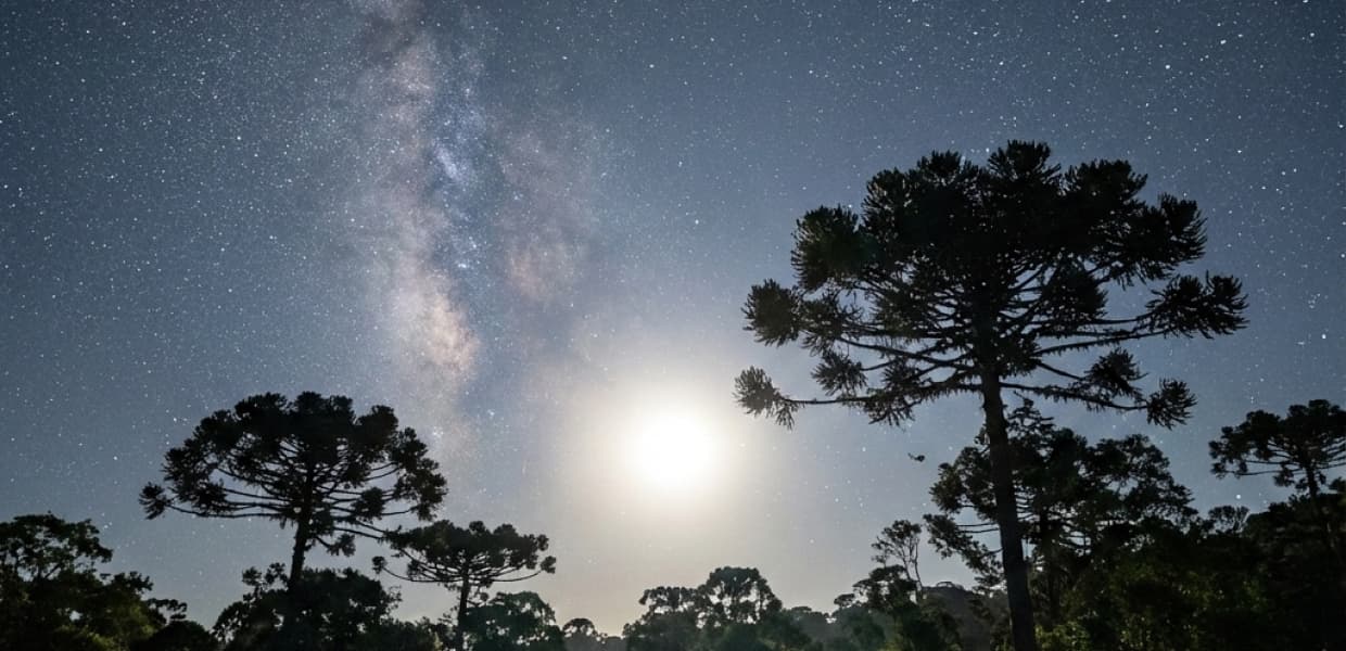 Imagen de portada para Todos los eclipses, superlunas y lluvias de meteoros para observar en 2026