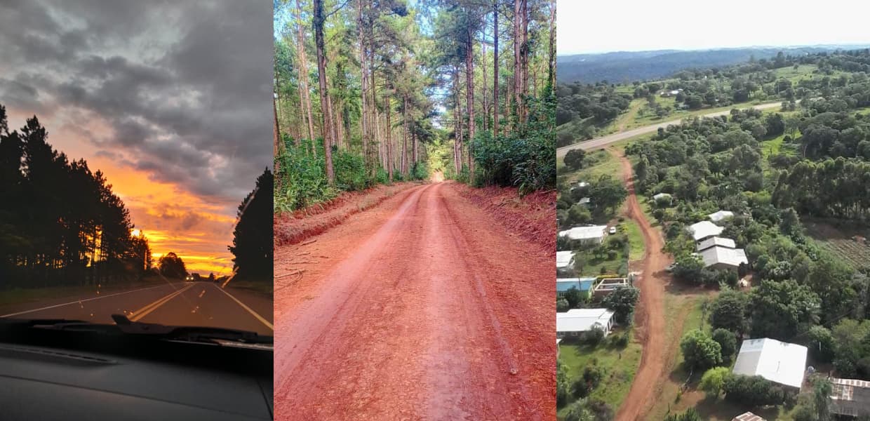 Adelanto del talento local: un collage con algunas de las decenas de obras que ya están concursando.