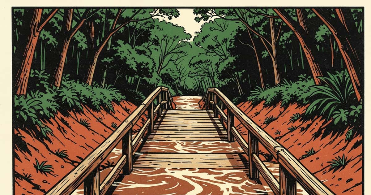 Ilustración editorial de portada sobre Jardín América: el puente provisorio de Tabay cumple 3 años