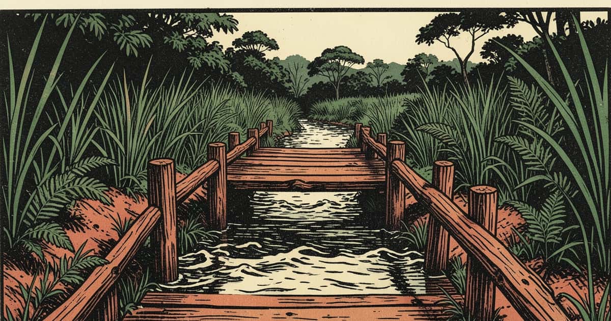 Ilustración editorial de portada sobre Jardín América: el puente provisorio de Tabay se cortó