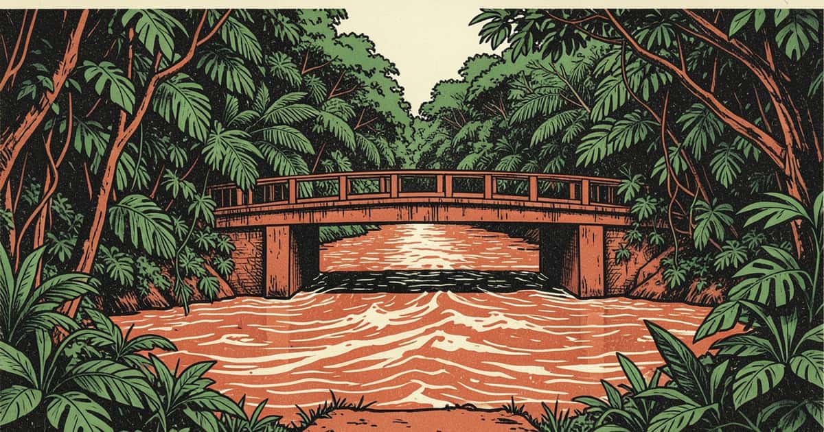 Ilustración en linograbado de un puente bajo sobre el arroyo Yabotí, rodeado por la selva de Misiones