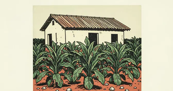 Ilustración en linograbado de una chacra de Fracrán con hojas de tabaco dañadas y una casa al fondo